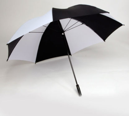 62" Single Canopy - Image 4